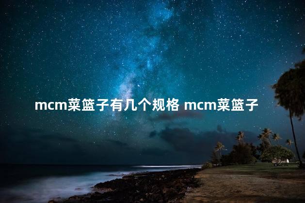 mcm菜篮子有几个规格 mcm菜篮子专柜价格是多少2022